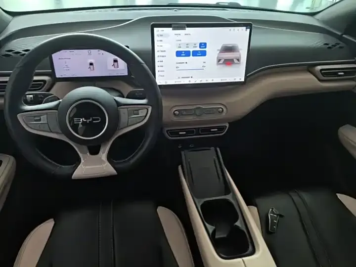 Seagull 2025 Intelligent Driving Version, 305 km, Freedom Edition 10