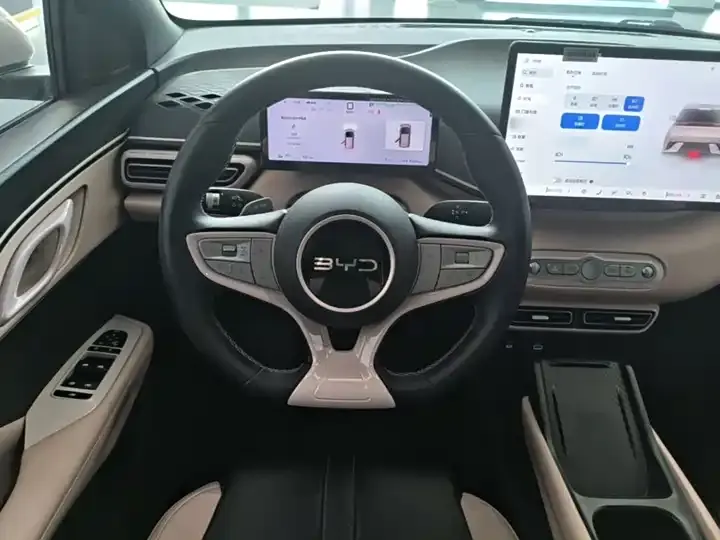 Seagull 2025 Intelligent Driving Version, 305 km, Freedom Edition 11