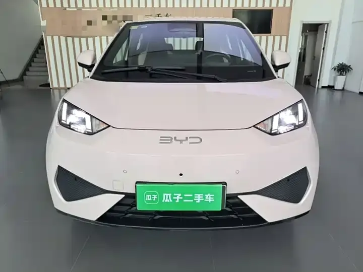 Seagull 2025 Intelligent Driving Version, 305 km, Freedom Edition 3