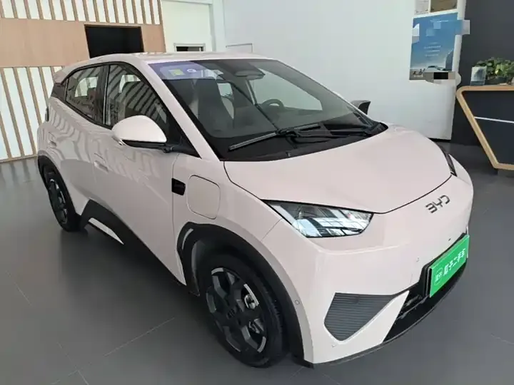Seagull 2025 Intelligent Driving Version, 305 km, Freedom Edition 4