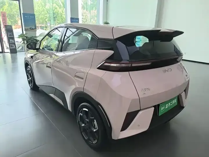 Seagull 2025 Intelligent Driving Version, 305 km, Freedom Edition 5