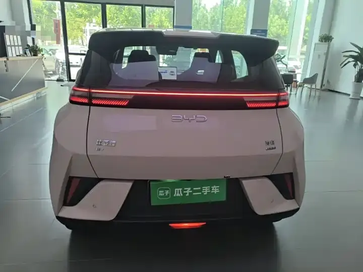Seagull 2025 Intelligent Driving Version, 305 km, Freedom Edition 6
