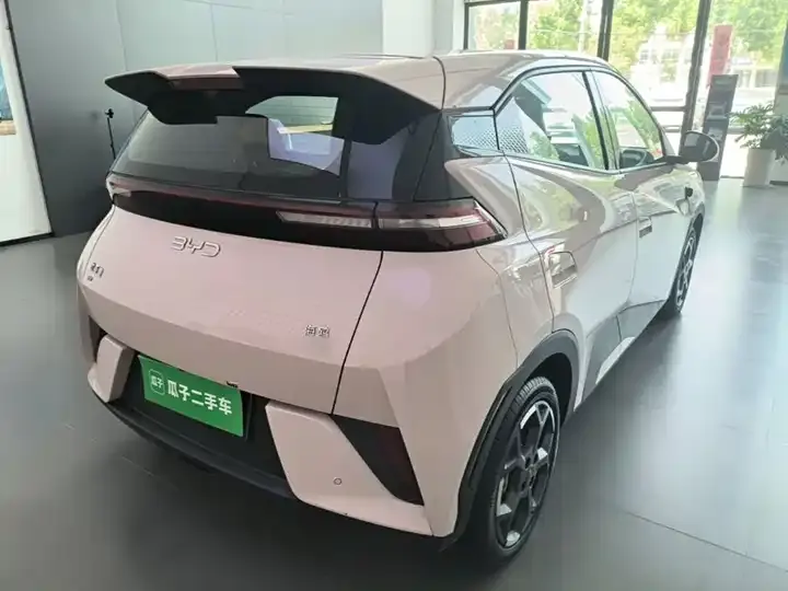 Seagull 2025 Intelligent Driving Version, 305 km, Freedom Edition 7