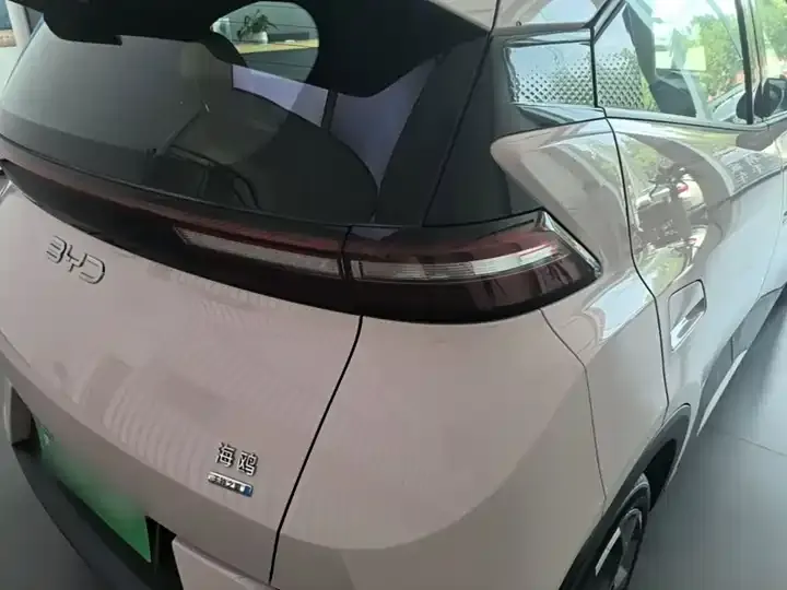 Seagull 2025 Intelligent Driving Version, 305 km, Freedom Edition 8