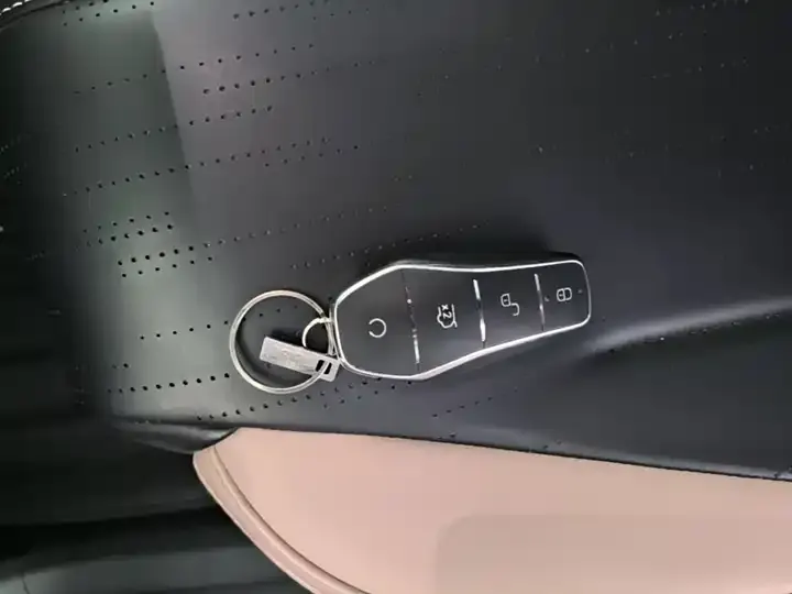 Seagull 2025 Intelligent Driving Version, 305 km, Freedom Edition 9