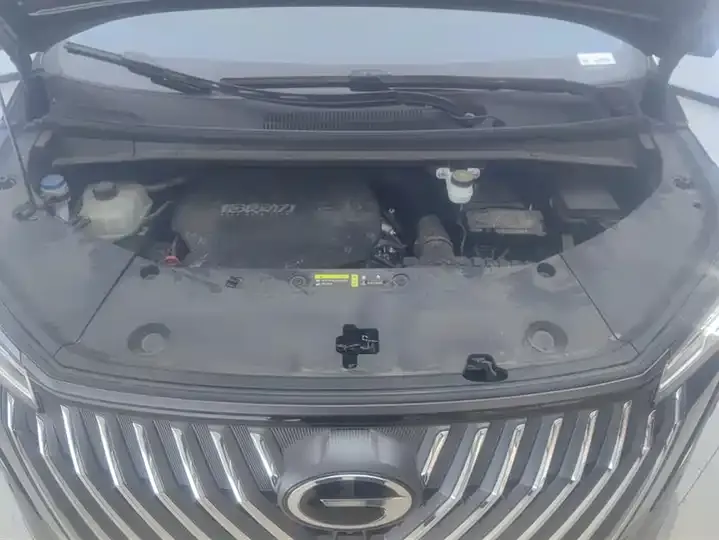 Trumpchi M8 2024 Master Series 400T Prestige Edition 10