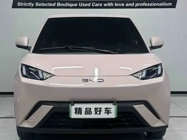Seagull 2023 Free Edition 2
