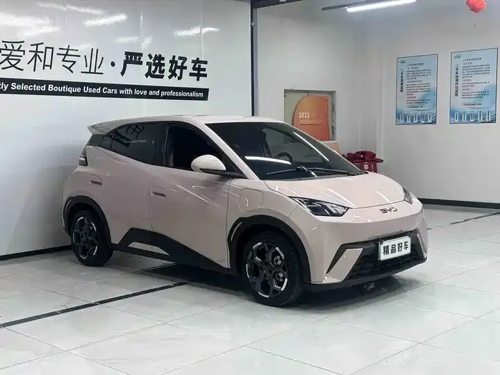 Seagull 2023 Free Edition 3
