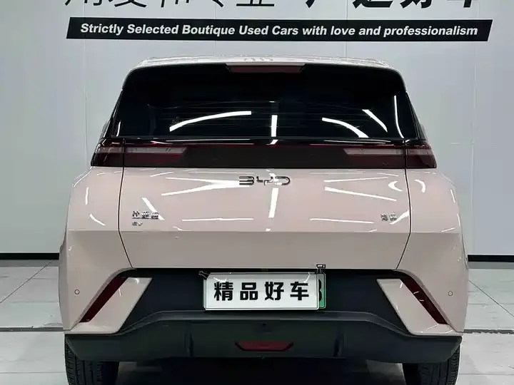 Seagull 2023 Free Edition 4