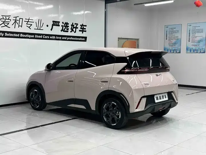 Seagull 2023 Free Edition 5