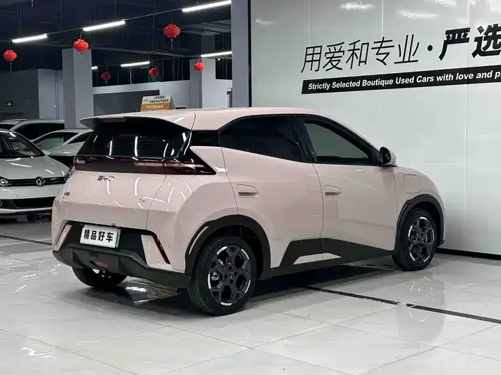 Seagull 2023 Free Edition 6