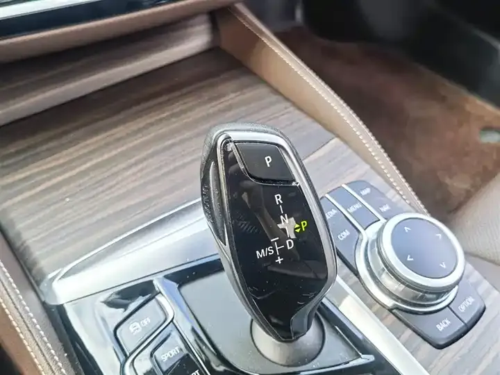 BMW 5 Series 2022 Modified 530Li Premium Luxury Suit 12