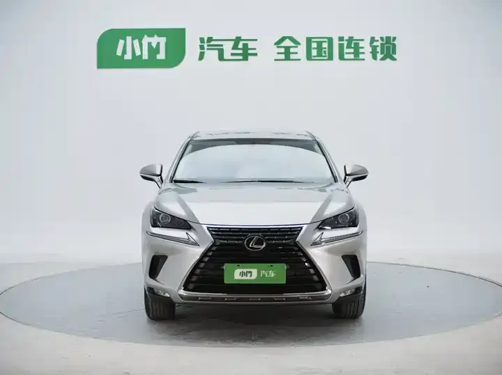 Lexus NX 2020 200 FWD Luxury Edition China VI 2