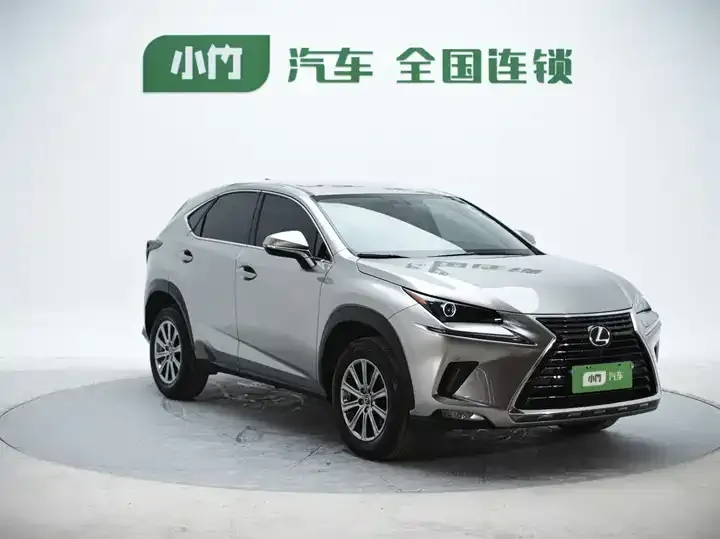 Lexus NX 2020 200 FWD Luxury Edition China VI 3