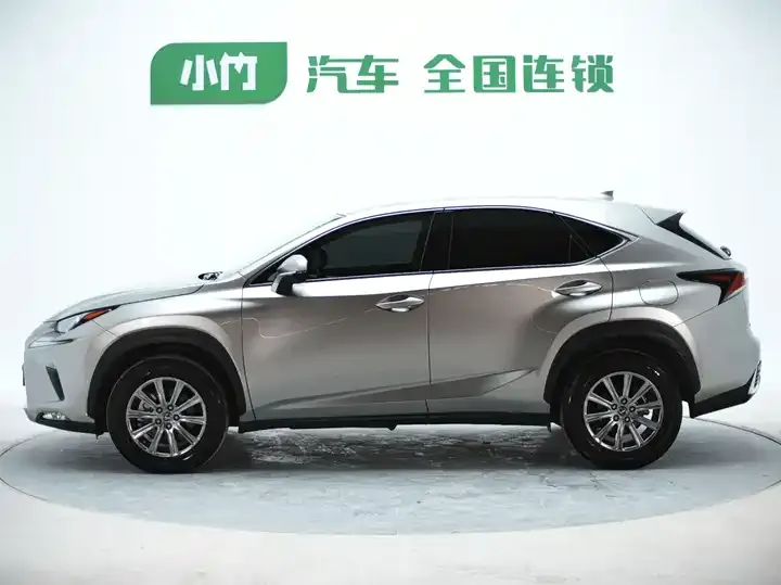 Lexus NX 2020 200 FWD Luxury Edition China VI 4