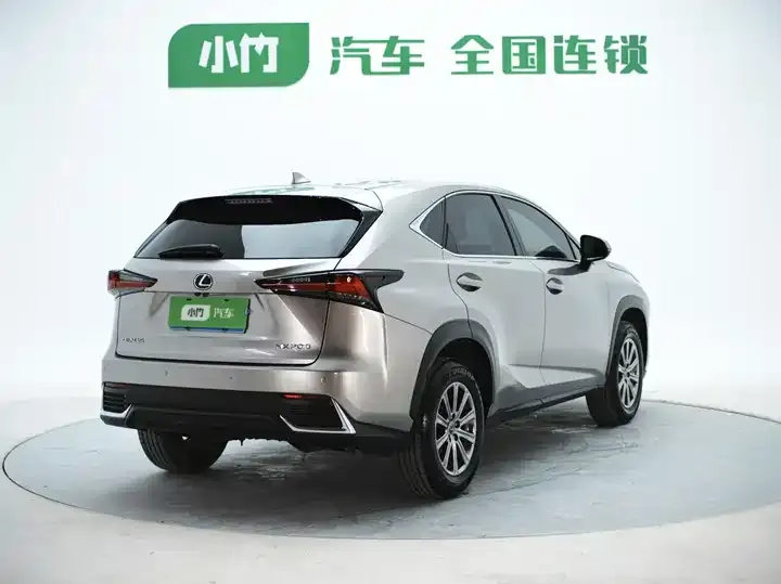 Lexus NX 2020 200 FWD Luxury Edition China VI 6