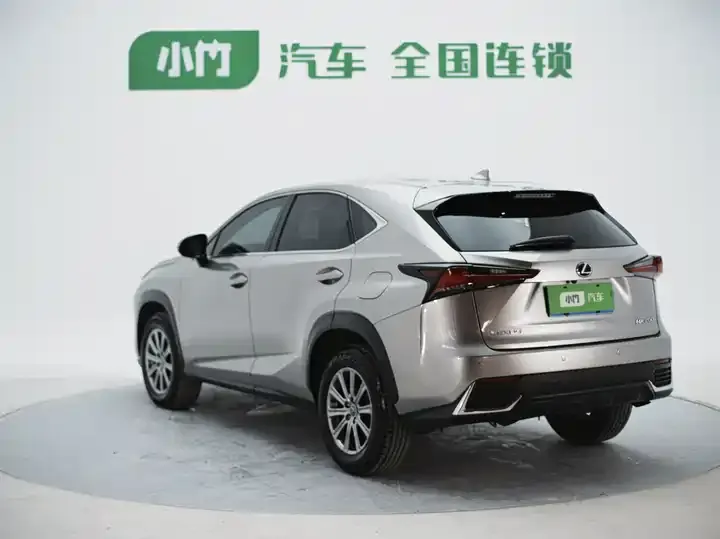 Lexus NX 2020 200 FWD Luxury Edition China VI 7
