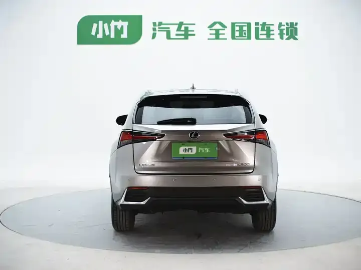 Lexus NX 2020 200 FWD Luxury Edition China VI 8