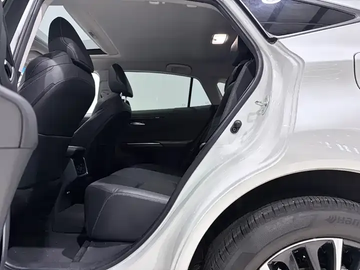 Wei Sa 2023 2.0L CVT Two-Drive Premium Edition 9