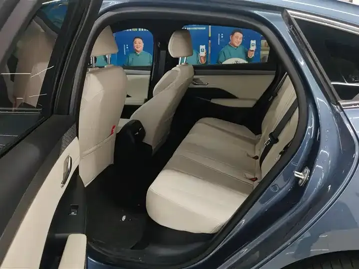Qin PLUS 2025 DM-i Smart Driving Edition 120KM Exceed 11