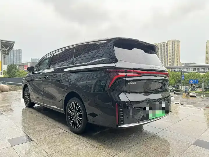 Xinghai V9 2024 1.5TD 200km Qingyun Ladder Series Honorable Model 5