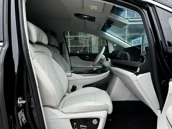 Xinghai V9 2024 1.5TD 200km Qingyun Ladder Series Honorable Model 9