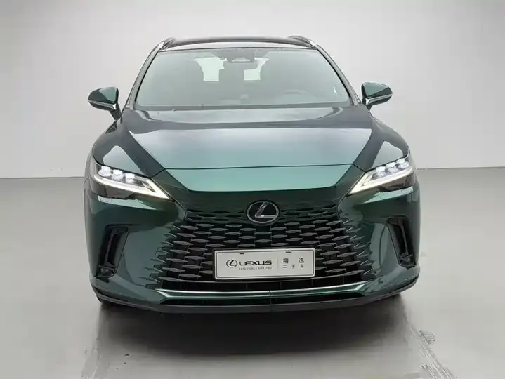 Lexus RX 2023 350h 4-wheel drive alcohol version 2