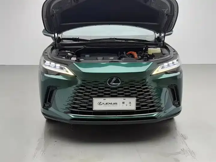 Lexus RX 2023 350h 4-wheel drive alcohol version 3