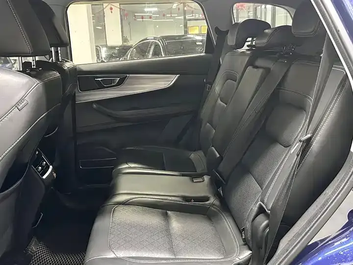 Ruihu 8 2020 290TGDI Auto Deluxe Edition Big Six 10