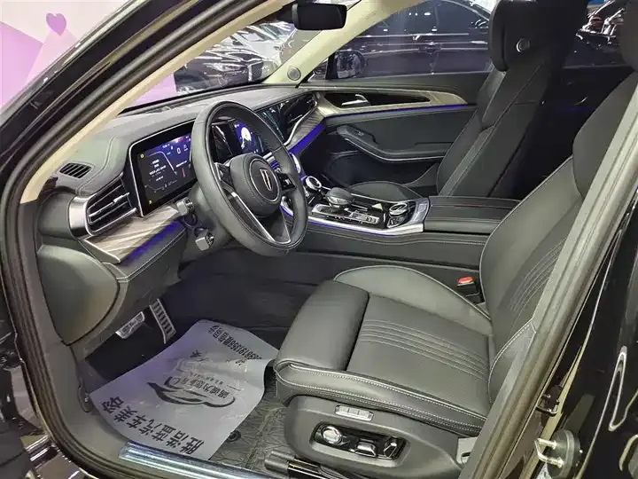 HongQi H9 2020 2.0T Zhilian Flag Edition 10
