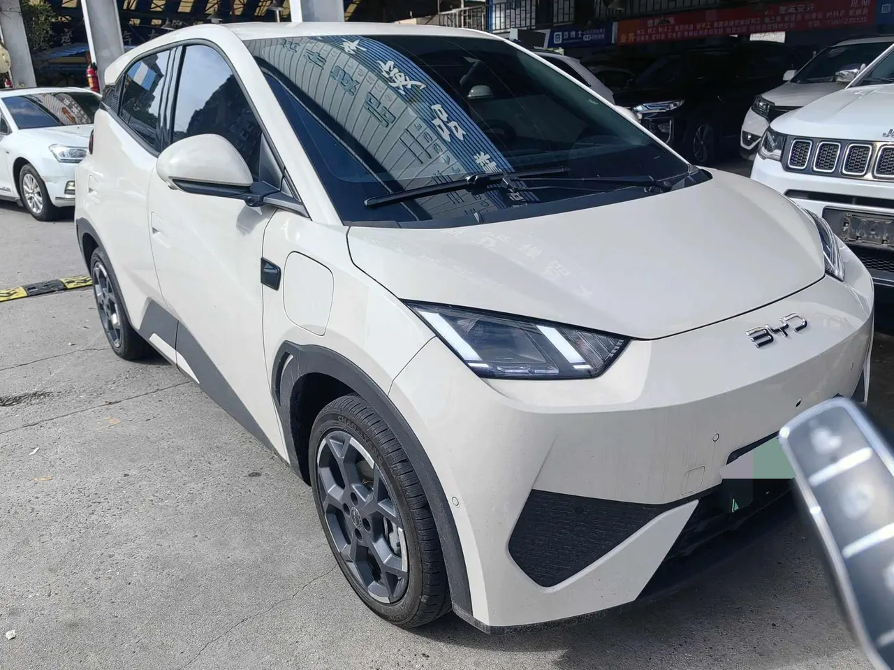 BYD 2025 Seagull Smart Driving Edition 305km Free Edition Automatic Gear 3