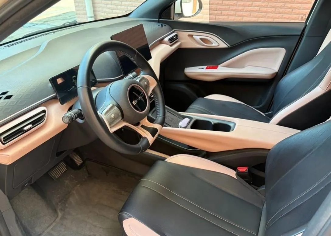 BYD 2025 Seagull Smart Driving Edition 305km Free Edition Automatic Gear 6