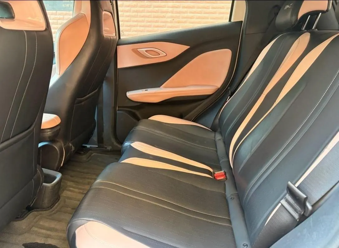 BYD 2025 Seagull Smart Driving Edition 305km Free Edition Automatic Gear 7