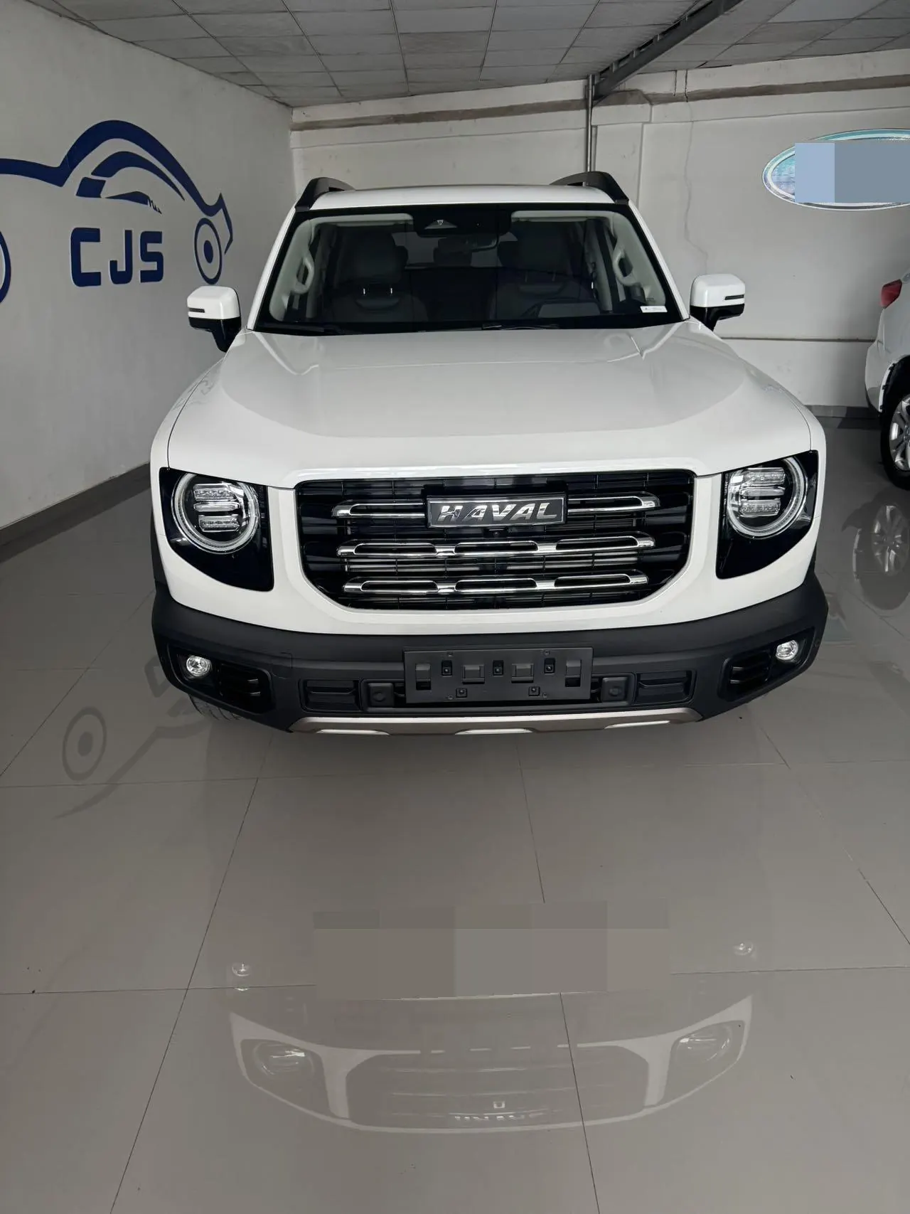 Haval 2021 Big Dogs 1.5T Border Animal Husbandry Wangcai Edition Automatic Gear - View 1