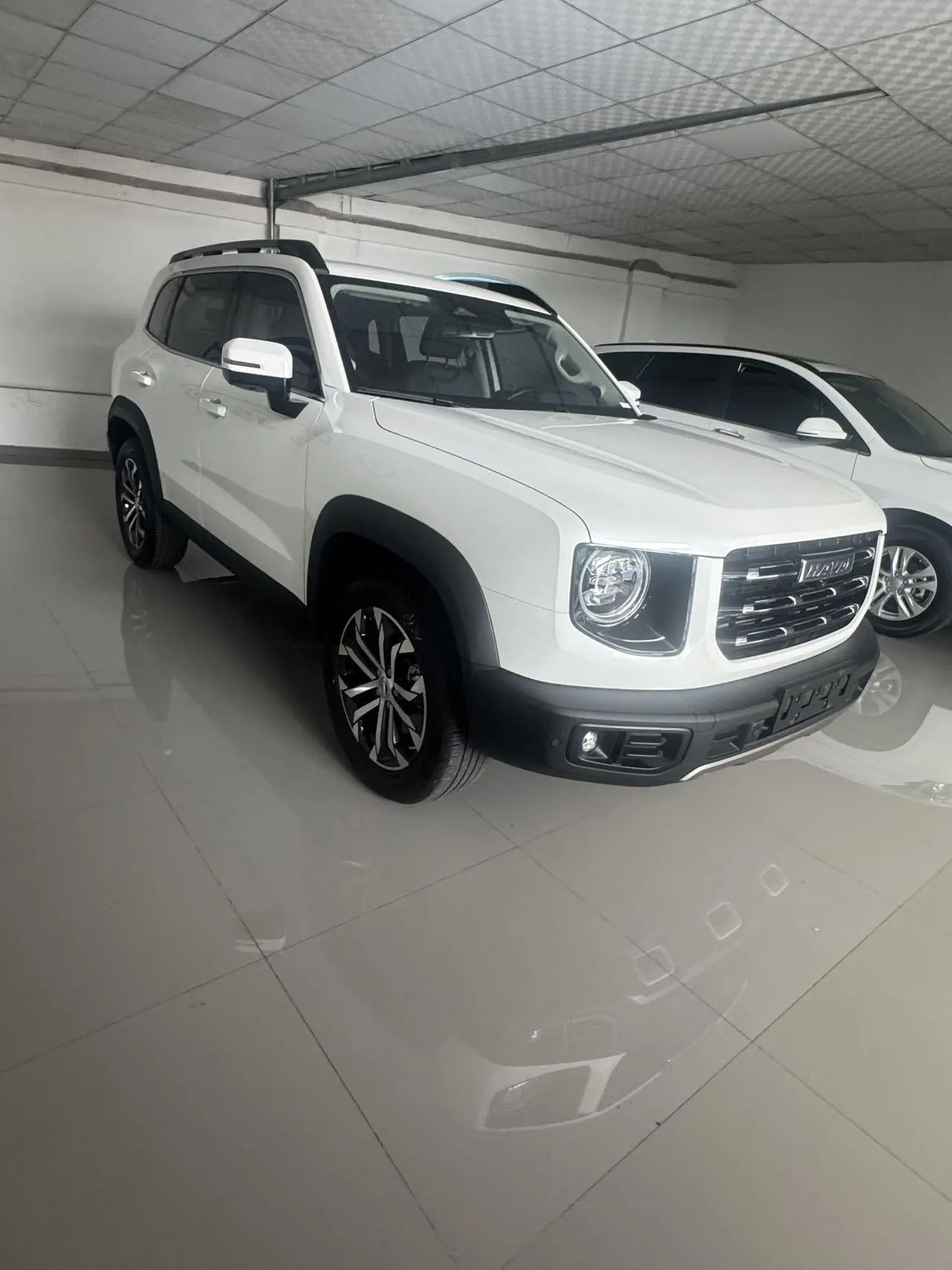 Haval 2021 Big Dogs 1.5T Border Animal Husbandry Wangcai Edition Automatic Gear 2