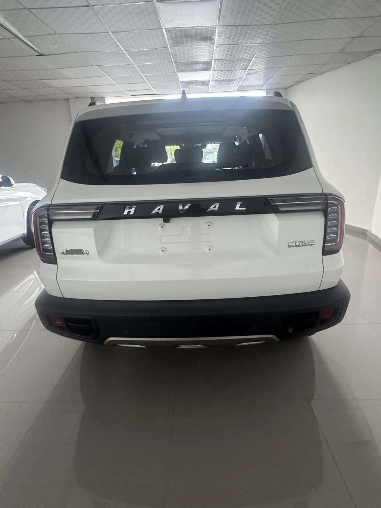 Haval 2021 Big Dogs 1.5T Border Animal Husbandry Wangcai Edition Automatic Gear 3