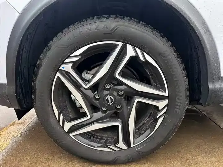Xiao Ke 2025 Honor 2.0L CVT XV Leading Edition 9