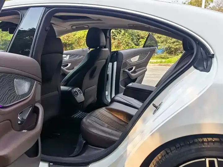 Mercedes Benz CLS 2021 CLS 300 Luxury 10