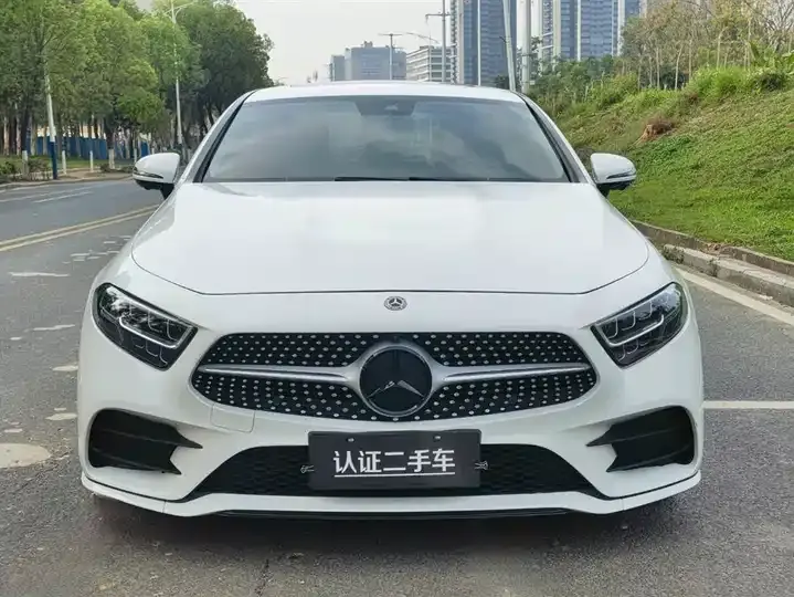 Mercedes Benz CLS 2021 CLS 300 Luxury 2