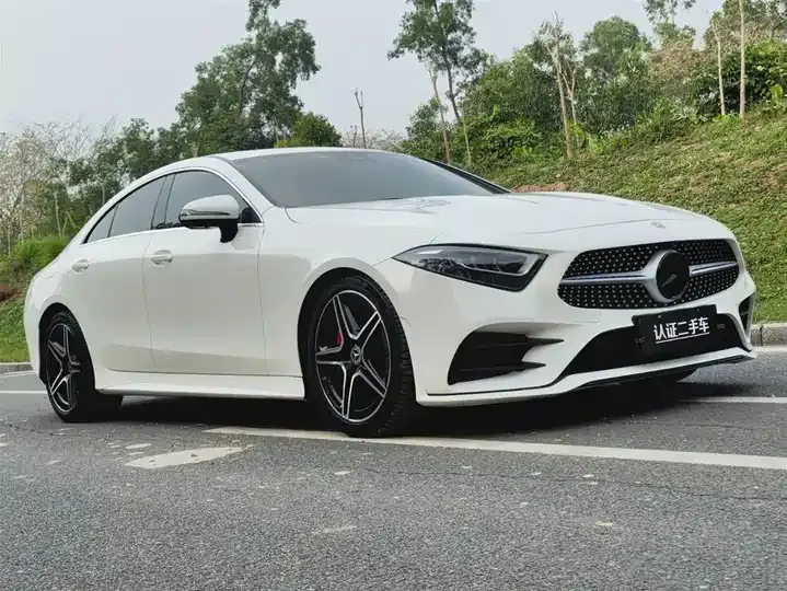 Mercedes Benz CLS 2021 CLS 300 Luxury 3