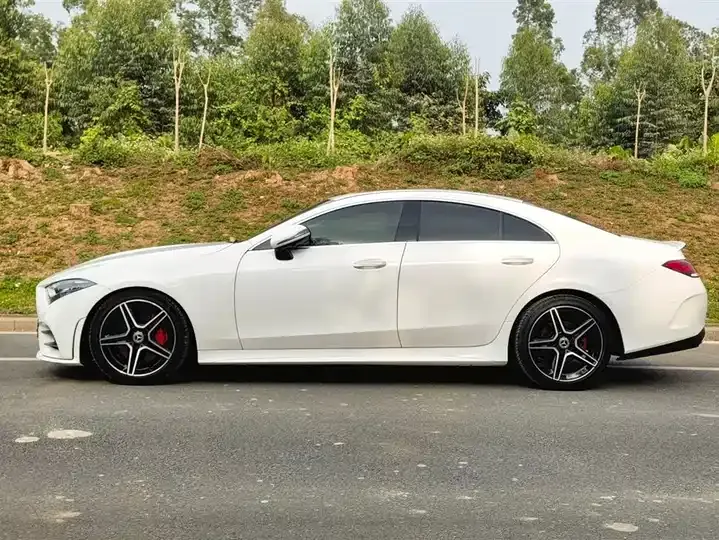 Mercedes Benz CLS 2021 CLS 300 Luxury 4