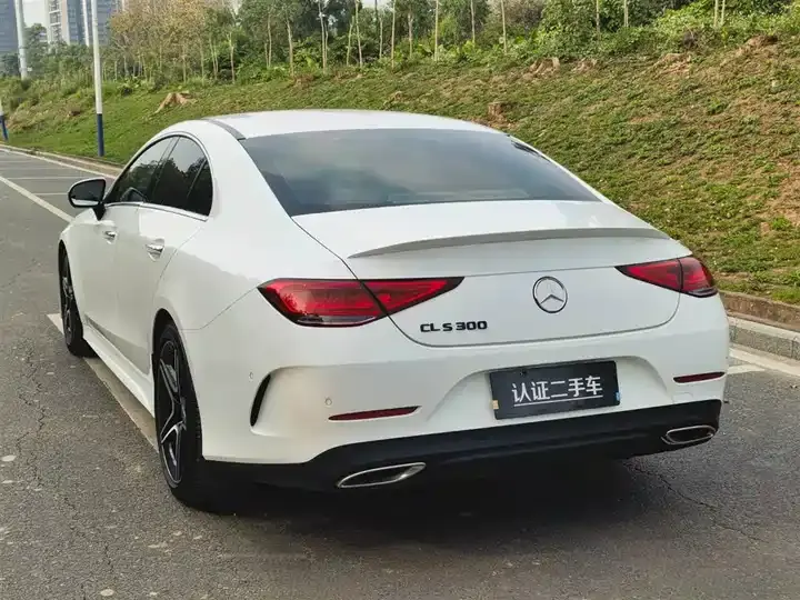 Mercedes Benz CLS 2021 CLS 300 Luxury 5