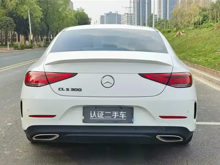 Mercedes Benz CLS 2021 CLS 300 Luxury 6