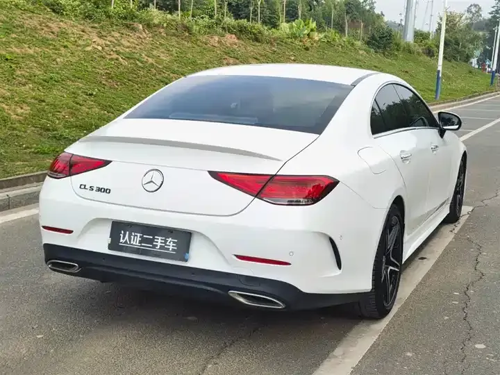 Mercedes Benz CLS 2021 CLS 300 Luxury 7