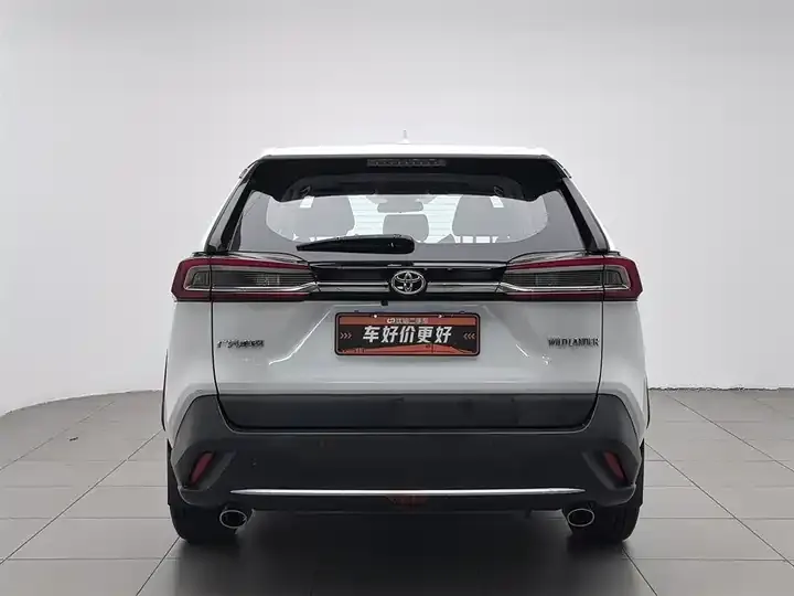 Willanda 2020 2.0L CVT Two-Drive Deluxe Edition 4