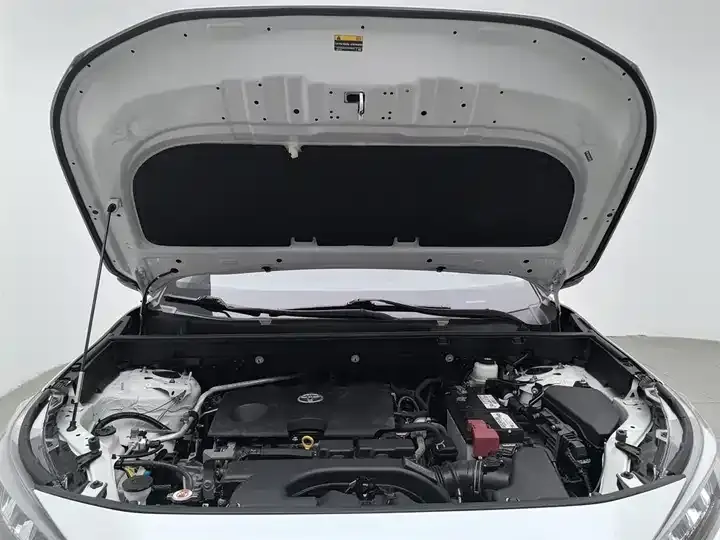 Willanda 2020 2.0L CVT Two-Drive Deluxe Edition 6