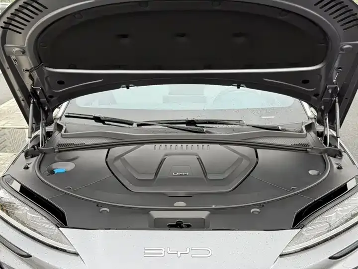 Song PLUS New Energy 2023 Champion Edition DM-i 110KM Flagship 10