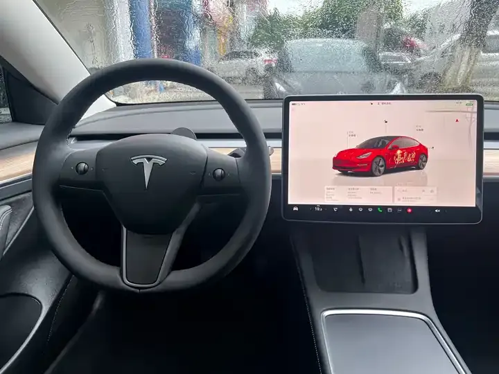 2022 Model 3 Rear-Wheel Drive Version 10