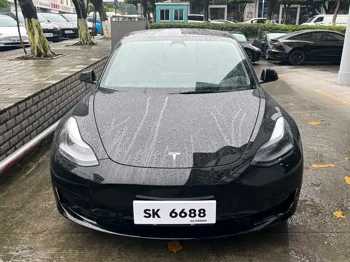 2022 Model 3 Rear-Wheel Drive Version 2