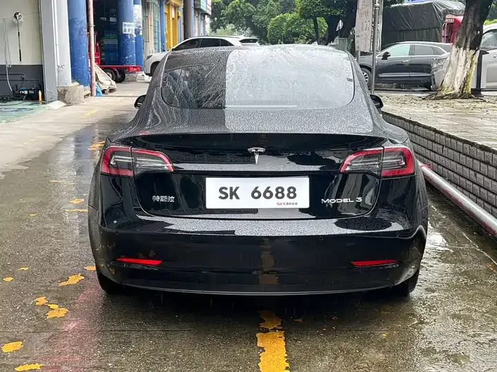 2022 Model 3 Rear-Wheel Drive Version 4